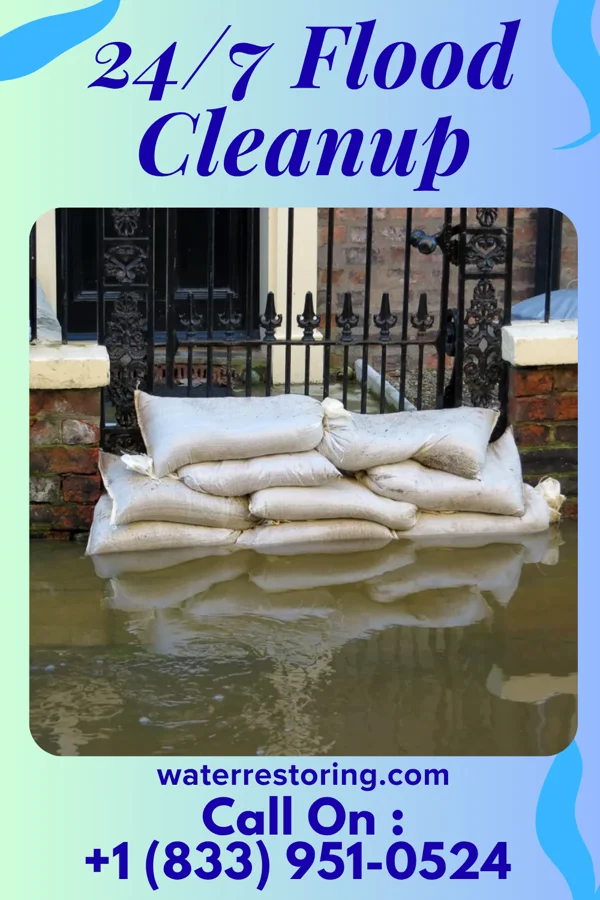 24/7 Flood Cleanup in Coffee City, TX