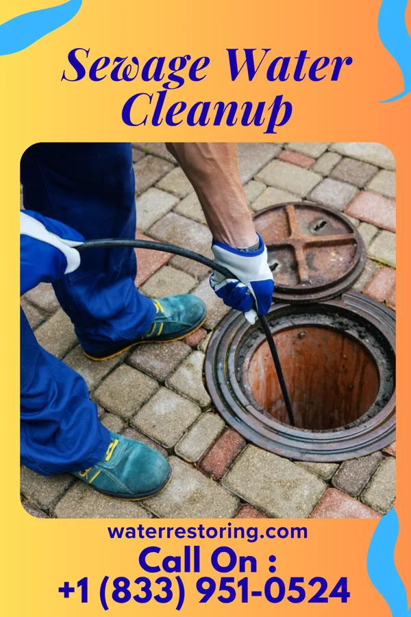 Sewage Water Cleanup in Coffee City, TX
