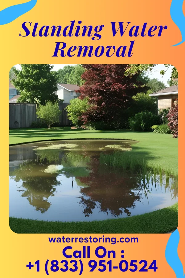 Standing Water Removal in Coffee City, TX